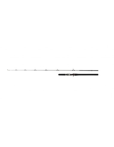 Shimano SpeedMaster R Jig Cast B584