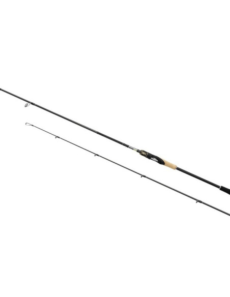 Shimano Sustain Spin 910H FE