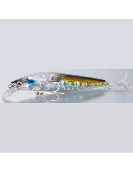 Shimano Silent Assassin 99SP FlashBoost 002 A Bora