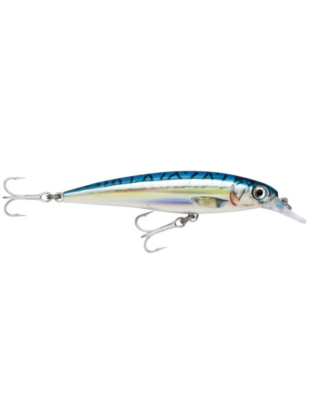 Rapala X-RAP Salt 10cm BM