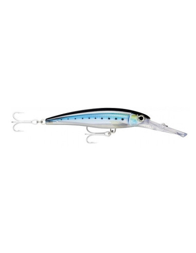 Rapala X-Rap Magnum 16cm HDBSRD