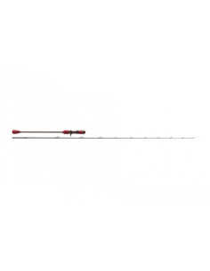 Williamson Solid Carbon SJ 200g 63BJ-2