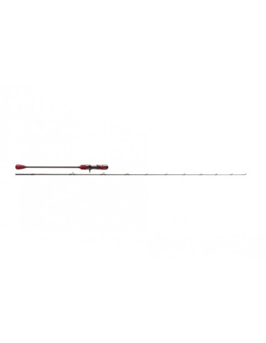 Williamson Solid Carbon SJ 200g 63BJ-2