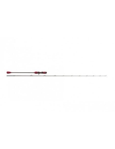 Williamson Solid Carbon SJ 200g 63BJ-2