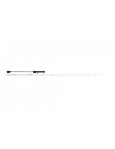 Williamson Solid Carbon SJ 400g 63BJ-4