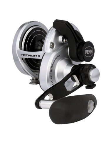 Penn Fathom II 25NLD 2LH