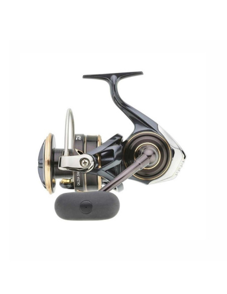 Daiwa Caldia 23 SW 8000 H