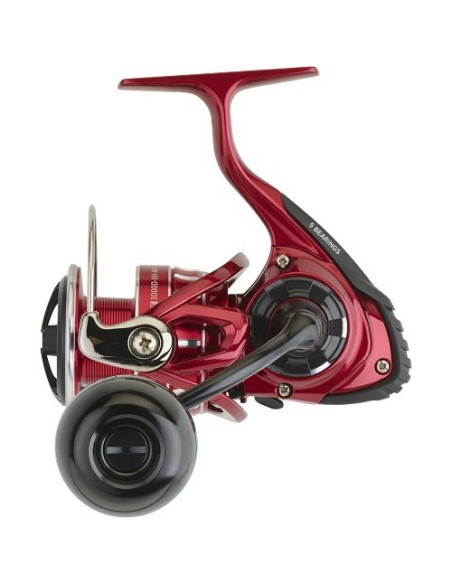 Daiwa BG RR LT 5000 D CXH ARK