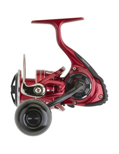 Daiwa BG RR LT 5000 D C ARK
