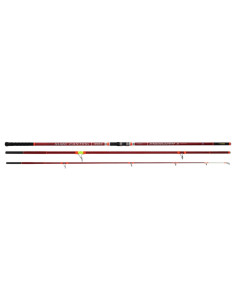 Barros Reach Energizer II 4.20m