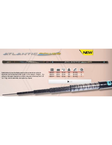 Tubertini Atlantic Power 6.00m