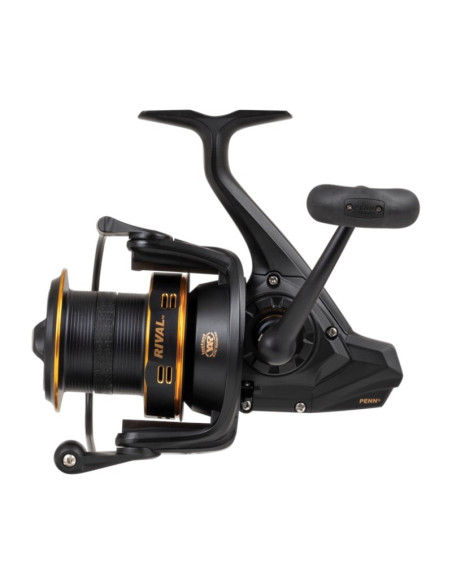 Penn Rival 6000LC Gold