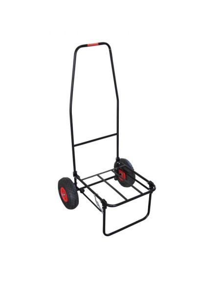 Carro Ragot
