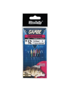 Ragot Gambe 5H Nº12