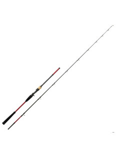 HR Bassforce 2.21m 30-70G