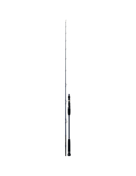 Daiwa Exceler Oceano JIG 642HB