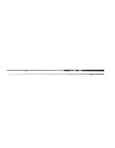 Daiwa Crosscast Shore Jigging 1002 XHFS CF