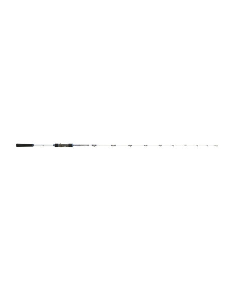 Daiwa Saltist SJ 62 HB CF