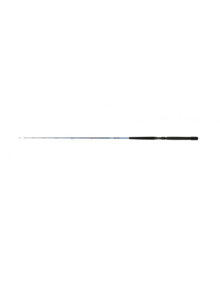 Daiwa Tanacom Boat 200G DF