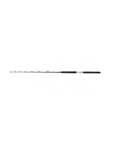 Daiwa Sealine X TR 100 AG BF