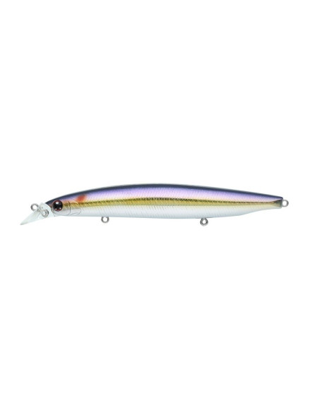 Daiwa Shoreline Shiner Z Vertice R 125F #11 Adel US Shad