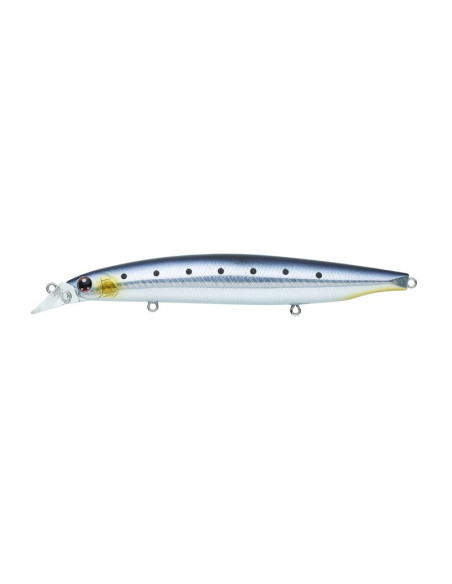 Daiwa Shoreline Shiner Z Vertice R 125S #7 Adel Iwashi