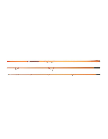 Cana Daiwa Cast'Izm Surf 30 425H CE