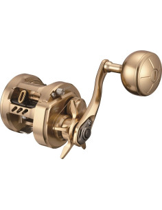 Daiwa Basara 21 200L