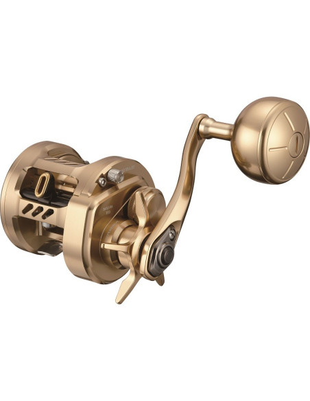 Daiwa Basara 21 200L