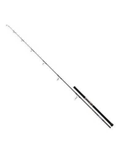 Daiwa Saltiga 85-8