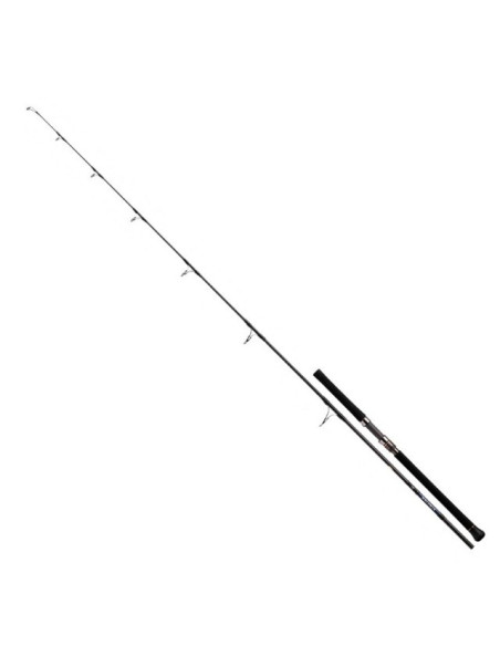 Daiwa Saltiga 85-8