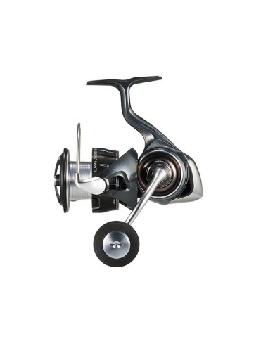Daiwa Luvias 24LT 5000DC