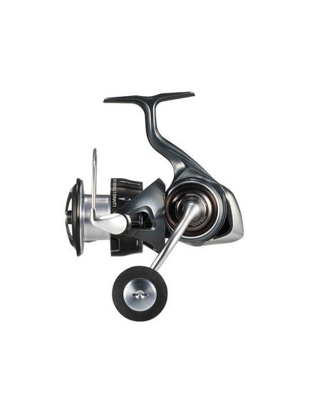 Daiwa Luvias 24LT 5000DC
