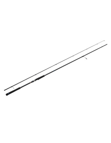 Major Craft Ceana Seabass 9'6'' 15-42gr