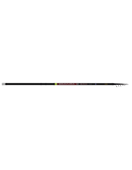 Barros Bravura BRX 6.00m