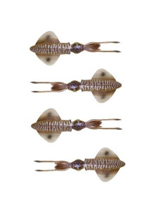 Savage Swim Squid 9.5mm 5g Cuttlefish
