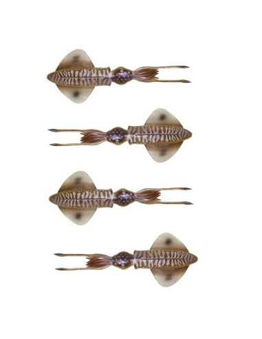 Savage Swim Squid 9.5mm 5g Cuttlefish