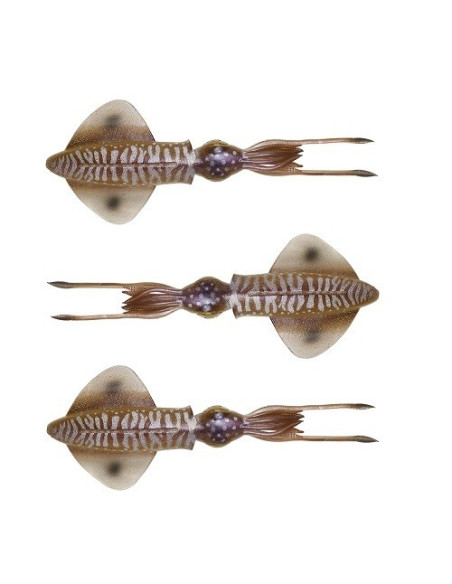 Savage 3D Swim Squid 12.5mm 11g Cuttlefish