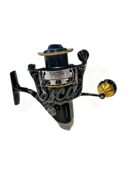 Ryobi Ap. Power SW Strong 4000