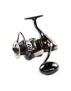 Ryobi Ap. Power SW Strong 6000