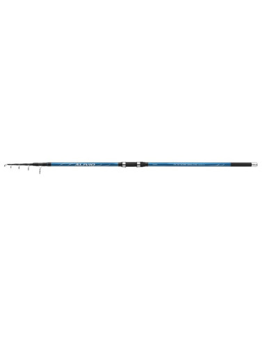 Shimano Alivio FX Surf Tele 4.20m 170gr
