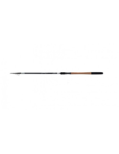 Shimano Catana AX AR TEGT 4.20m XH