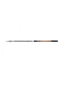 Shimano Catana AX AR TEGT 4.20m XH