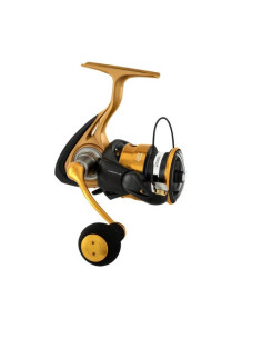 Daiwa Aird 23LT 6000H