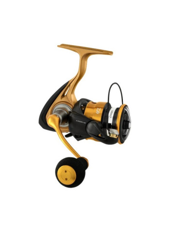 Daiwa Aird 23LT 6000H