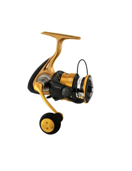 Daiwa Aird 23LT 6000H