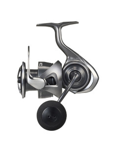 Daiwa Caldia 25LT 5000 C