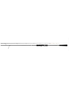 Cana Daiwa Catalina 64BJ
