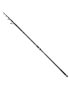Daiwa Emblem Surf Type-R 4.20m 170T