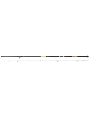 Daiwa Grandwave Shore Jigging 962HXHFS AF